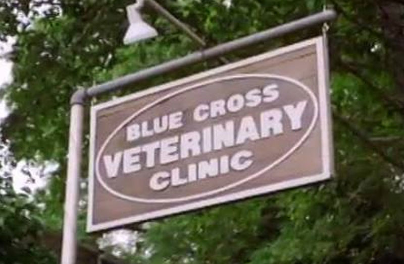 Blue Cross Veterinary Clinic signage